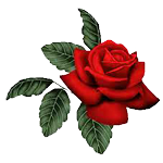 rosa